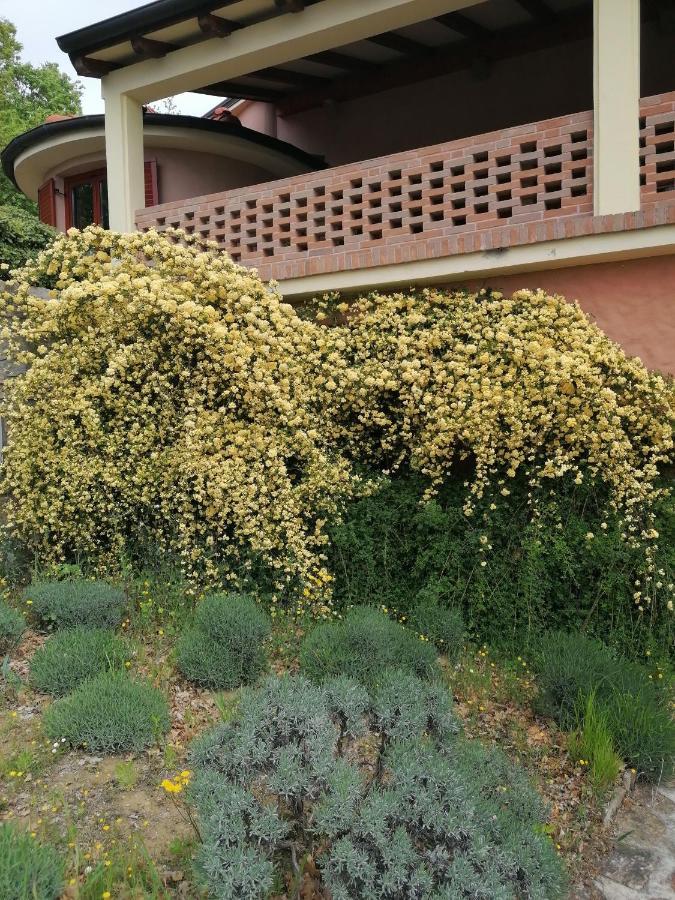 Apartma Villa Cedole Chabby Chick بيران المظهر الخارجي الصورة